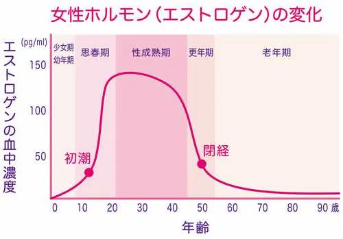 女性のホルモンと閉経