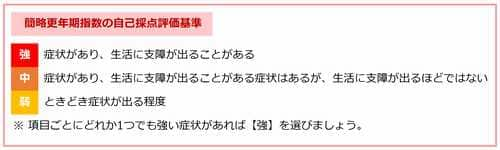 簡略更年期指数（SMI）評価基準